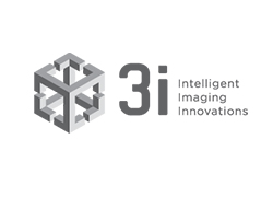 3i logo