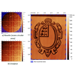 Image of areas scanned using HS-AFM