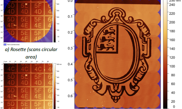 Image of areas scanned using HS-AFM